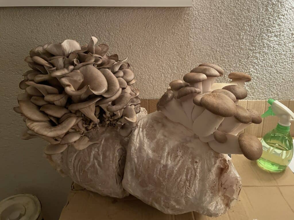 Bild #1 von Markus F.