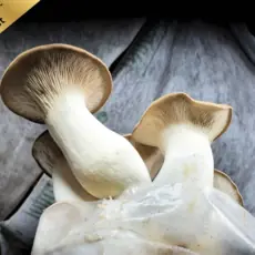 BIO Kräuterseitlinge Pilzzucht Set - 3er Set
