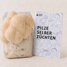 Igelstachelbart Geschenkset
