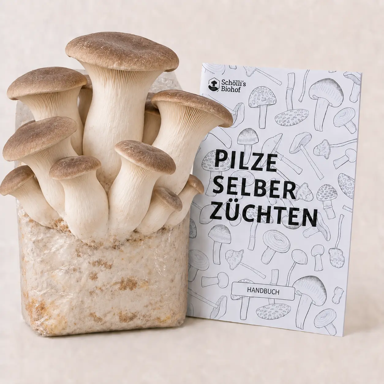 Kräuterseitling Geschenkset